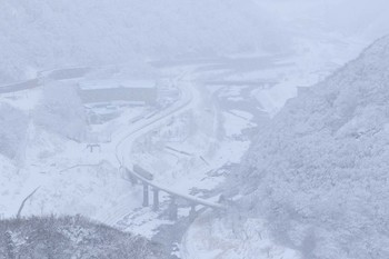 02012339-7.jpg