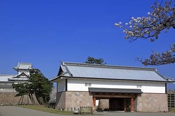 04097214.jpg