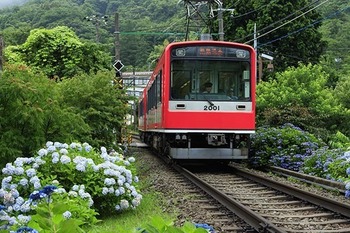 06247005.jpg
