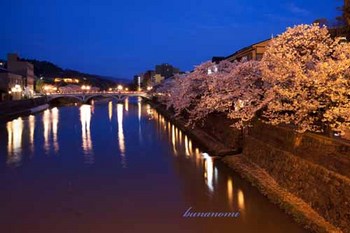 浅野川.jpg