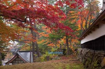 円蔵寺.jpg