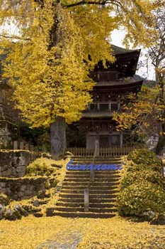 前山寺.jpg