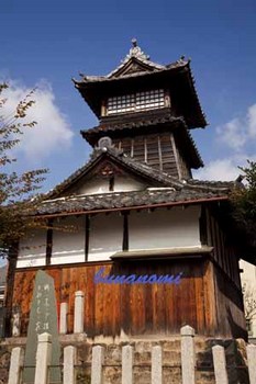 柏原.jpg