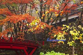 横蔵寺.jpg