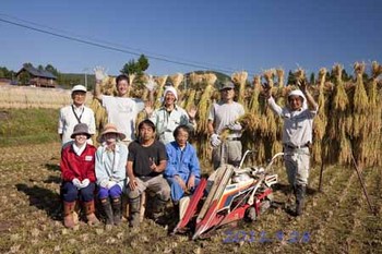 稲刈り 1.jpg