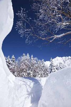 雪回廊.jpg