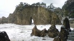 20090216144217.jpg