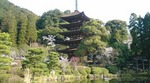 20090331093002.jpg