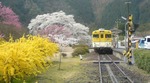 20090401165847.jpg
