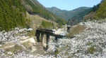 20090409155412.jpg