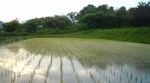 20090609174125.jpg