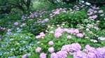 20090615074832.jpg