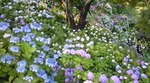 20090617190735.jpg