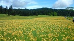 20090721085238.jpg
