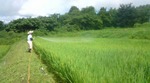 20090814125746.jpg