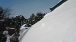 20100104155133.jpg