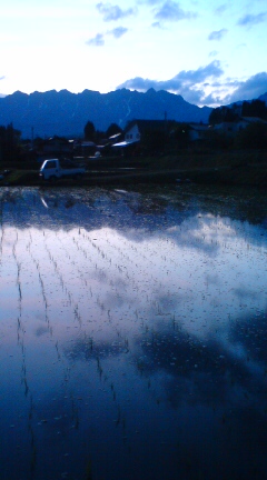 20100531191214.jpg
