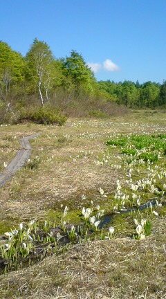 20100602110535.jpg