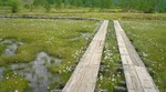 20100625134909.jpg