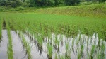 20100629113623.jpg