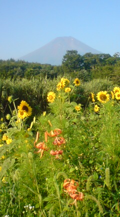 20100817064740.jpg