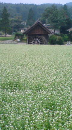 20100824162202.jpg