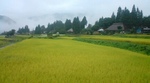 20100908163057.jpg