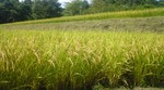 20100912135226.jpg