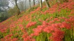 20101003082216.jpg