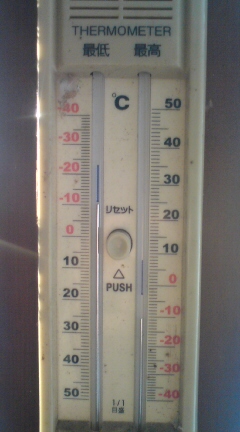 20110114075319.jpg