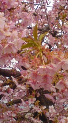 20110311143507.jpg