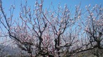 20110414113855.jpg