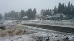 20110419111246.jpg