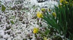 20110419111403.jpg