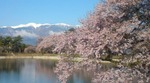 20110424080505.jpg