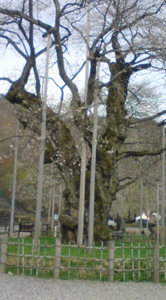 20110509093226.jpg