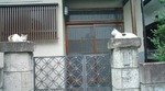 20110614100324.jpg