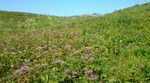 20110809093147.jpg