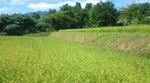 20110906171312.jpg
