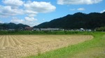 20110923114523.jpg