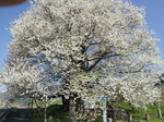 20120428_090049.jpg