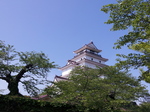 20120520_085817.jpg