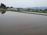 20120529_131404.jpg