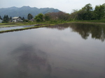 20120529_130936.jpg