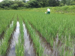 20120716_120200.jpg