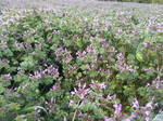 20130315_114158.jpg