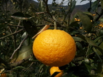 20130315_131550.jpg