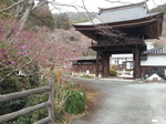 20130315_135051.jpg
