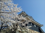 20130326_101219.jpg
