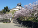 20130326_084201.jpg